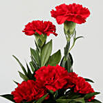 beautiful Red Carnations Bunch In Black Personalised Mug