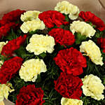beautiful Vibrant Carnation Bouquet