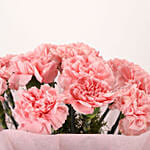 Pink Pretty Carnations Bouquet