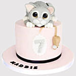 Cute Cake Truffle Cake