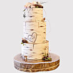 Pretty 3 Layered Engagement Vanilla Cake