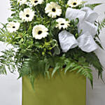 White Gerberas Flower Stand