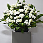 Condolence Gerbera Stand