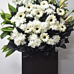 Daisy Condolence Stand