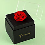 Beautiful Single Forever Red Rose With Black Box for Valentines
