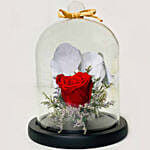 Red Forever Rose In Glass Dome with Teddy for Valentines
