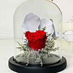 Red Forever Rose In Glass Dome with Teddy for Valentines