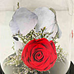 Red Forever Rose In Glass Dome with Teddy for Valentines
