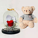 Red Forever Rose In Glass Dome with Teddy for Valentines