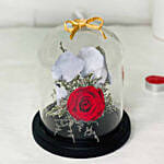 Single Beautifull Red Forever Rose In Glass Dome for Valentines