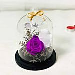 Beautiful Forever Purple Rose In Glass Dome Purple