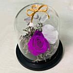 Beautiful Forever Purple Rose In Glass Dome Purple