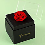 Forever Red Rose In Black Box