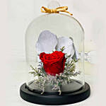 Red Rose In Glass Dome With Birthday Balloon