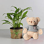 Peace Lily Plant with Hearty Teddy Bear Combo