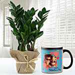 Jute Wrapped Zamia Potted Plant With Personalised Magical Mug