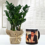 Jute Wrapped Zamia Potted Plant With Personalised Magic Mug