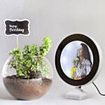 Jade Plant With Personalised Magic Led Mirror