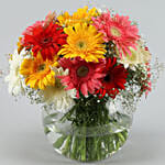 4 Classy Mix Of Gerbera Blossoms