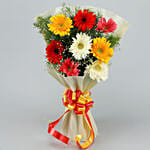 8 Mixed Brilliance Gerbera Blossoms