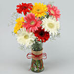 8 Mixed Brilliance Gerbera Vase