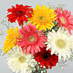 8 Mixed Brilliance Gerbera Vase