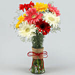 8 Mixed Brilliance Gerbera Vase