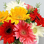 8 Petite Mixed Gerbera Floral Vase