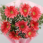 8 Pink Marvel Gerbera Blossoms