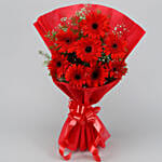 8 Red Elegance Gerbera Blossoms