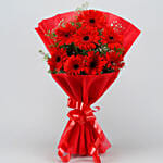 8 Red Elegance Gerbera Blossoms