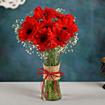 8 Red Elegance Gerbera Vase