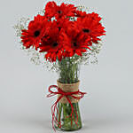 8 Red Elegance Gerbera Vase