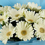 10 Pristine White Gerberas Bouquet