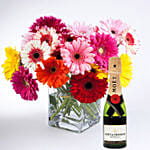 Elegant Gerberas In Glass Vase with Moet Champagne 200ml