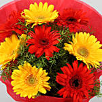 Glorious Red and Yellow Gerbera Blossoms