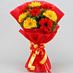 Glorious Red and Yellow Gerbera Blossoms