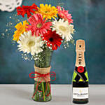 Mixed Brilliance Gerbera Vase with Moet Champagne 200ml