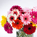 Mixed Elegant Gerberas In Glass Vase