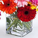 Mixed Elegant Gerberas In Glass Vase