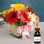 Petite Mixed Gerbera Floral Vase with Moet Champagne 200ml