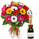 Summery Gerbera Blooming Bouquet with Moet Champagne 200ml