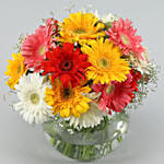 4 Classy Mix Of Gerbera Blossoms