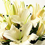 5 Serene White Oriental Lilies Bouquet