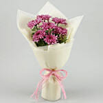 7 Pink Magic Chrysanthemum Bouquet