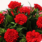 Ravishing Red Carnations Bouquet with Mug