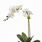 Faux White Orchid Plant In Square Glass Vase