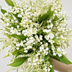 Beautifully Tied Lilies Astilbe Bridal Bouquet