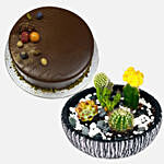 Chocolate Cake With Cactus Echeveria Plant