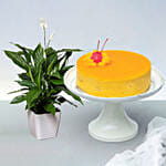 Mango Mousse Cake With Amazing Lily Plant